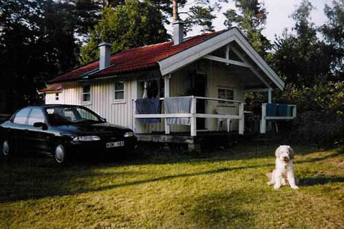 Snoddas i Västervik